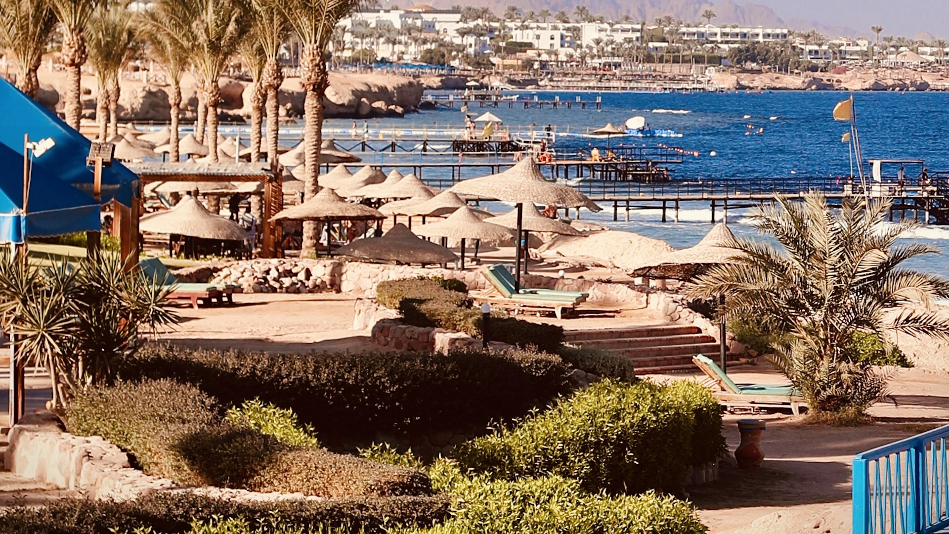 الرئيسية