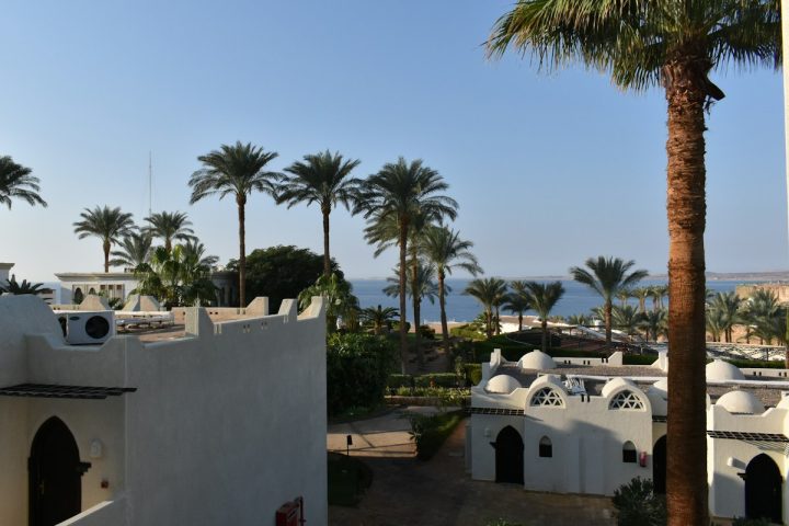 الرئيسية